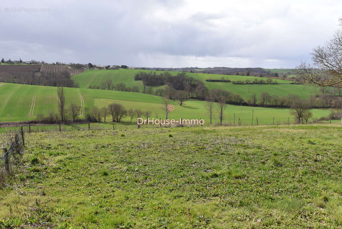 Terrain à SAINTE-FOY-DE-PEYROLIERES
