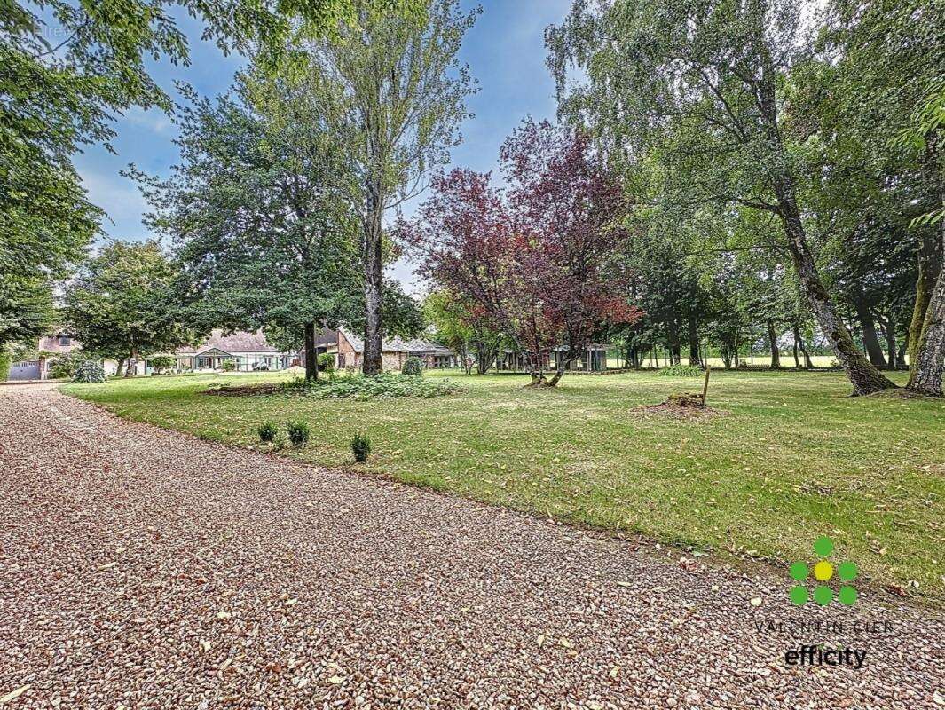 Commerce à BEAUMONT-LES-AUTELS