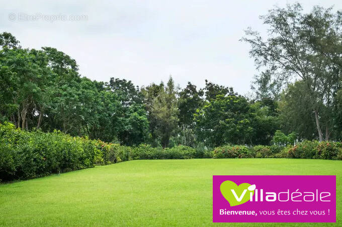 Terrain à SAINT-COLOMBAN