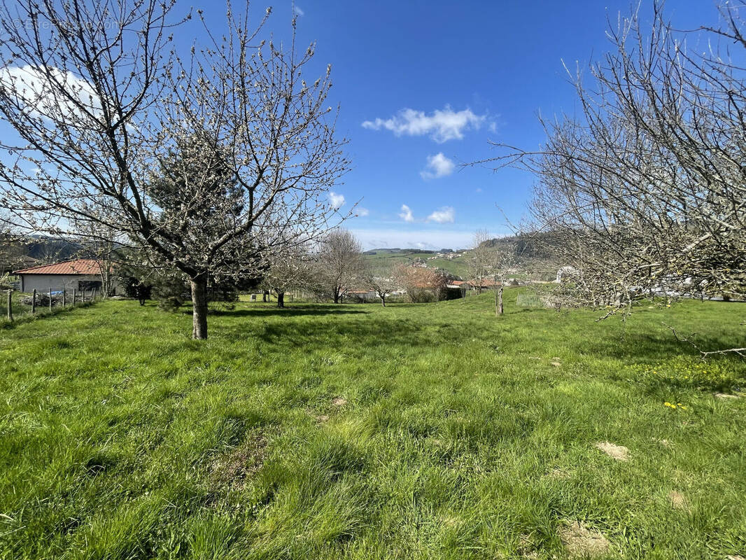 Photo 1 - Terrain à CUBLIZE