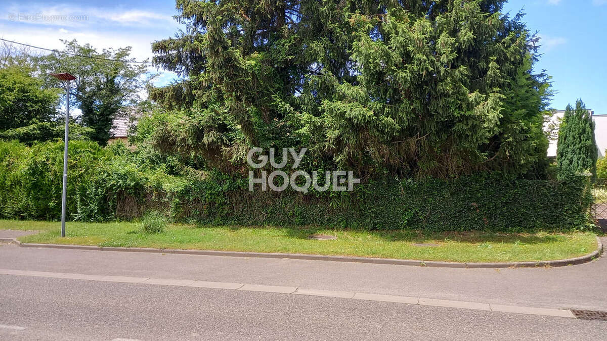 Terrain à ASPACH-LE-HAUT