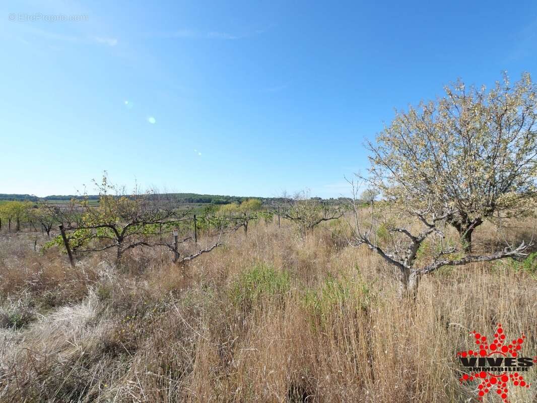 Terrain agricole de 5075 m² - photo 4