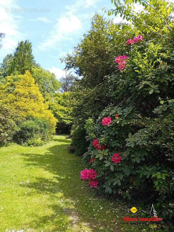 Maison à SALIES-DE-BEARN