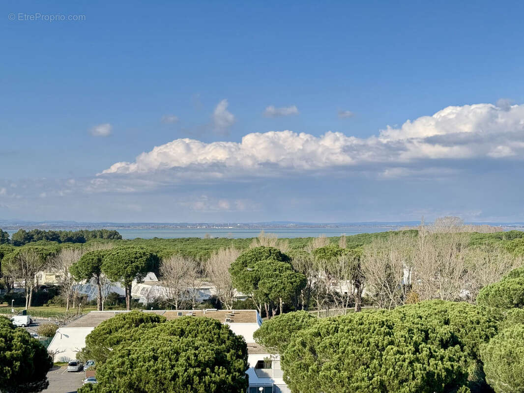 Photo 8 - Appartement à LA GRANDE-MOTTE