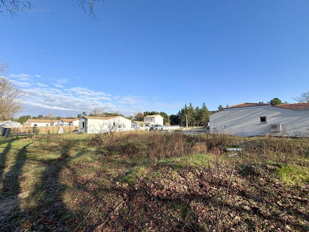 Vue du fond - Terrain à SAINT-HILAIRE-DE-RIEZ