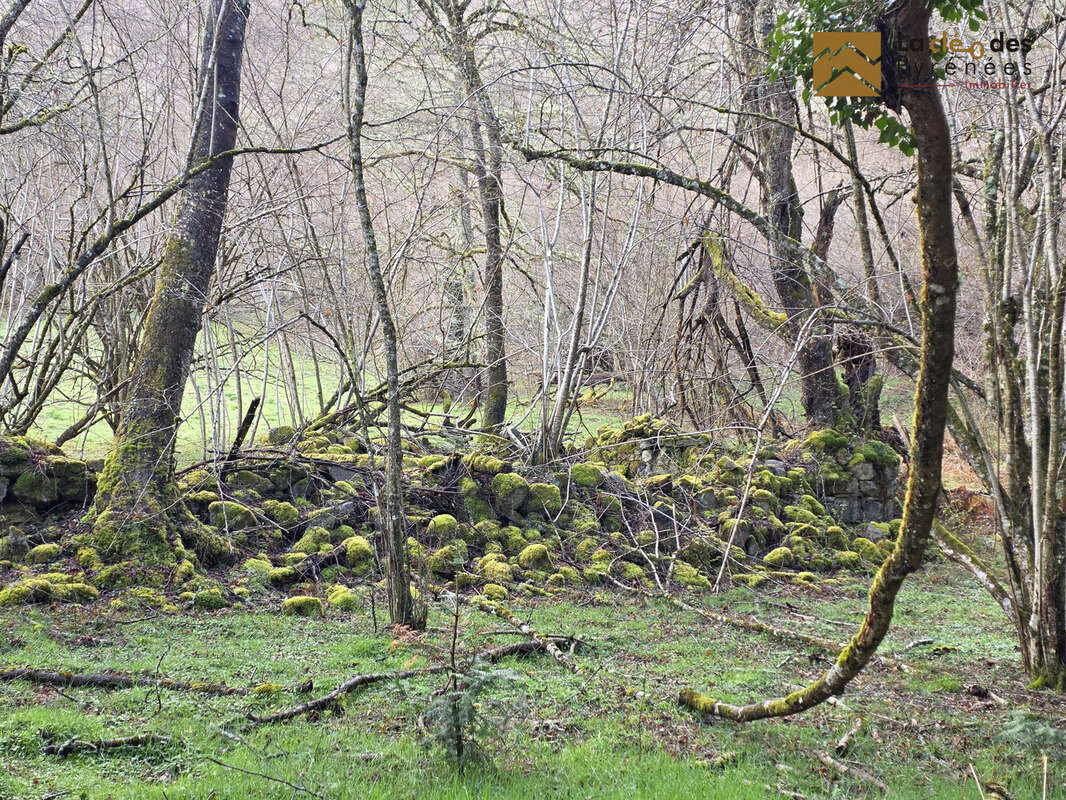 Terrain à ARRAS-EN-LAVEDAN