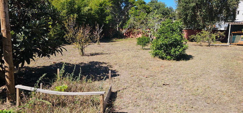 Maison à PRUNELLI-DI-FIUMORBO