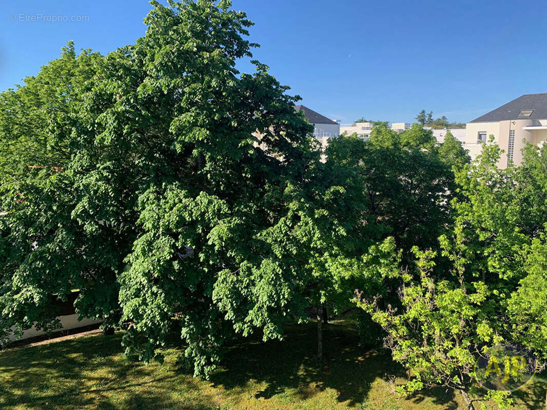 Appartement à SAINT-SEBASTIEN-SUR-LOIRE