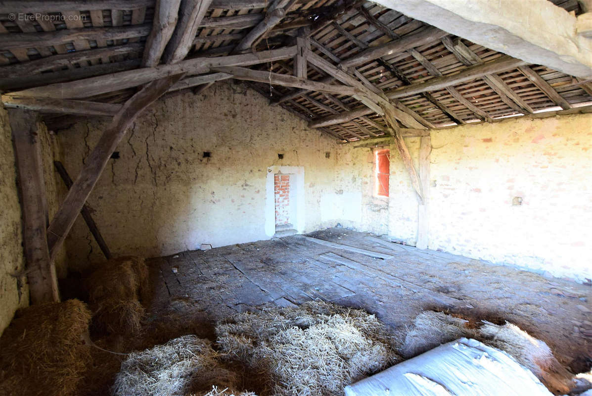 DSC_0875 - Maison à SAINT-GAUDENS