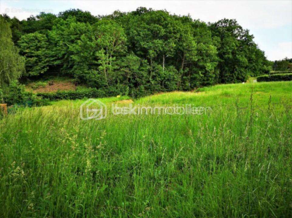 Terrain constructible au calme de 948 m² environ de surface, façade de 36.16 ml - photo 6