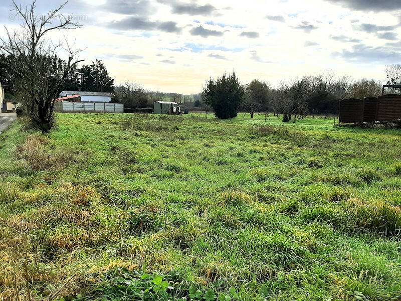 Terrain à MARSAIS-SAINTE-RADEGONDE