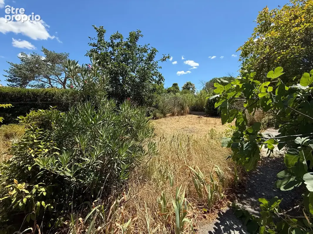 Maison de plain pied  avec piscine sur 2420 m2 de terrain arbore - photo 35