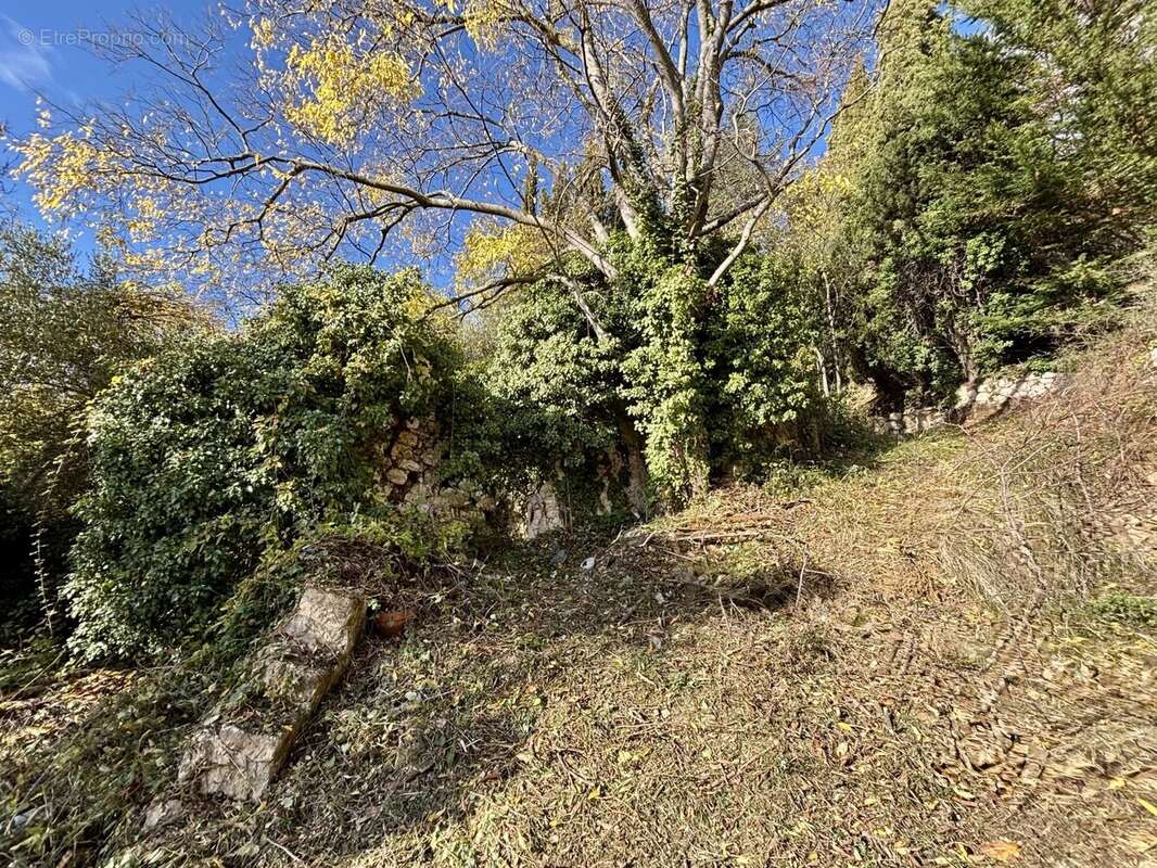 Terrain à GRASSE