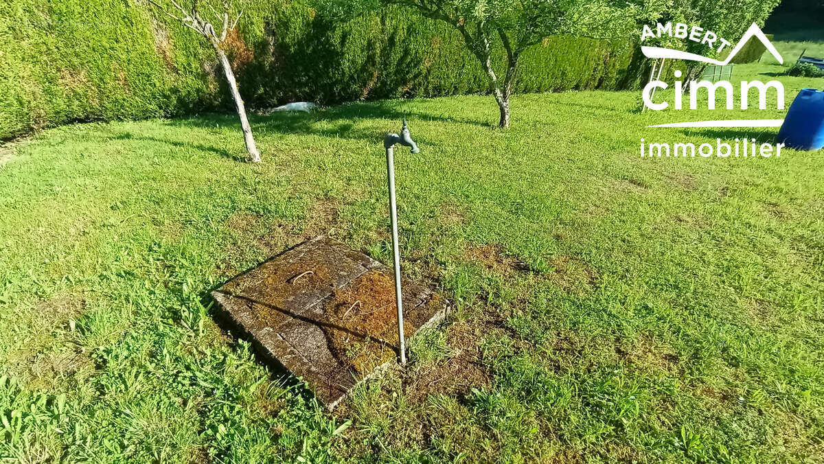 Terrain à OLLIERGUES