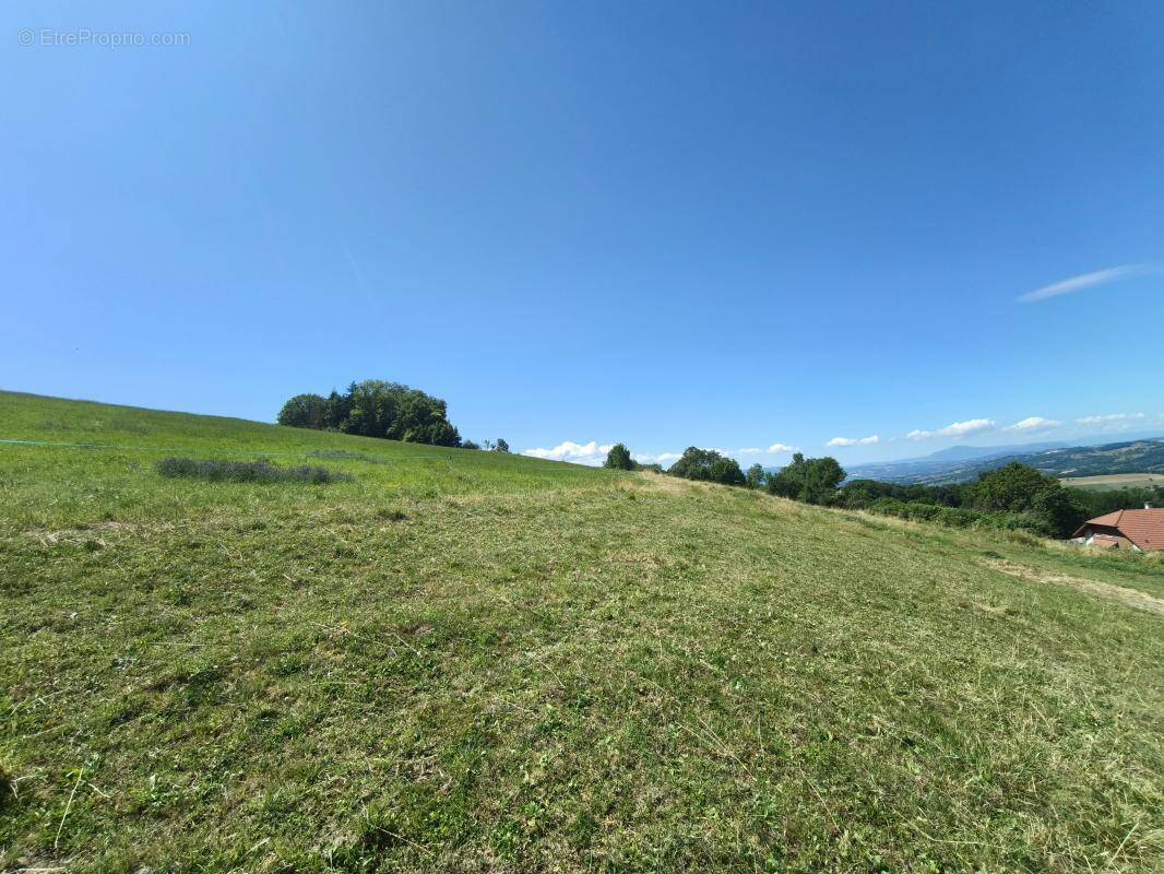 Terrain à HERY-SUR-ALBY
