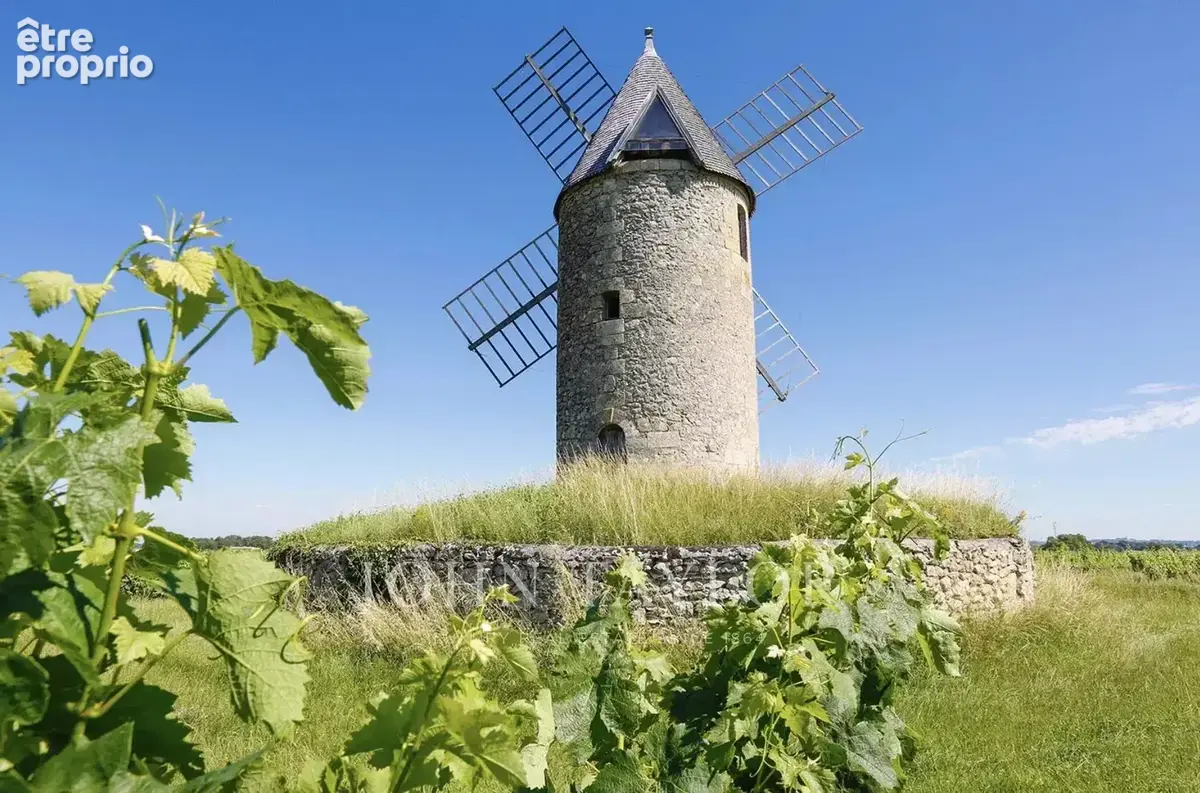 Domaine viticole biologique de 30 hectares – à 10 minutes de saint-émilion - photo 5