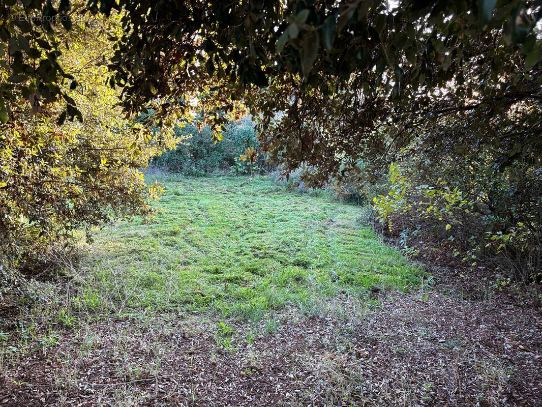 Appartement à VILLESISCLE