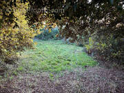 Appartement à VILLESISCLE