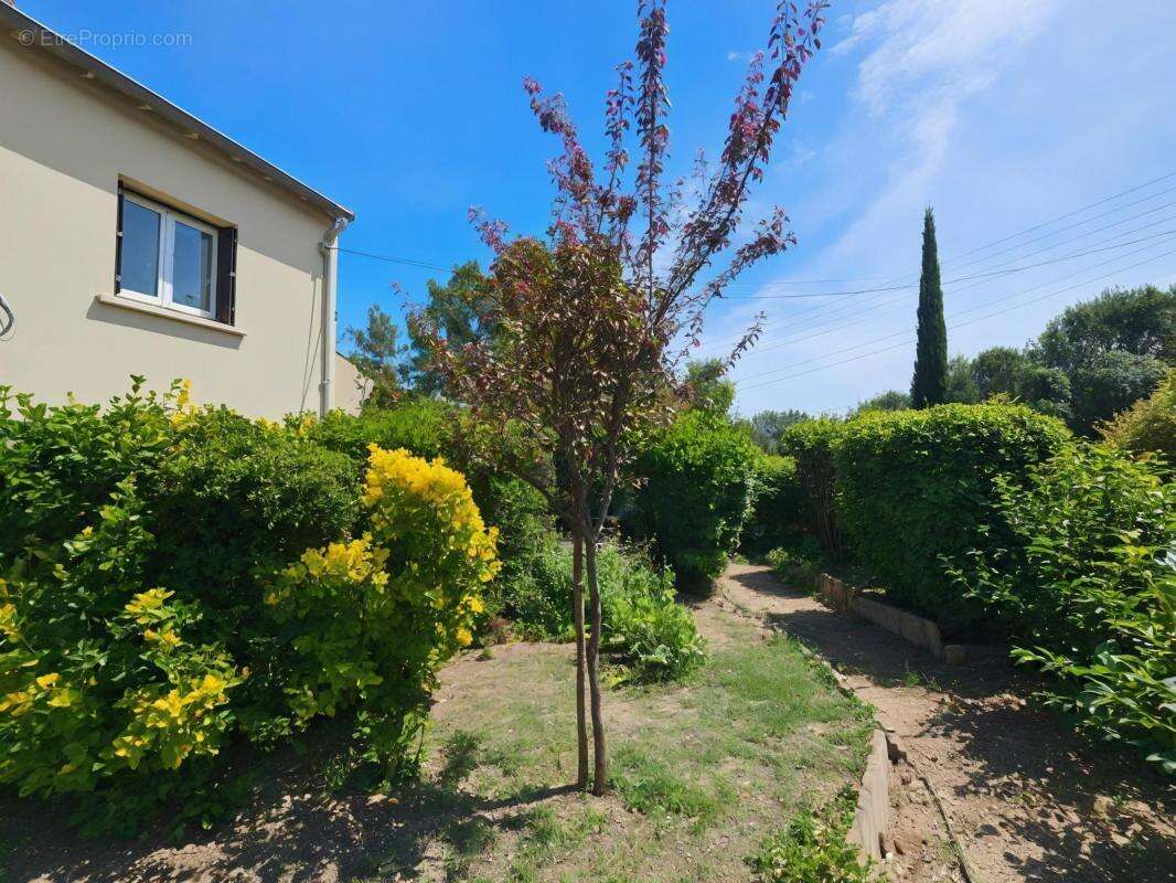 Maison à MONTPELLIER