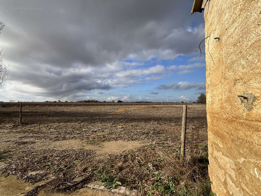 Maison à LANSARGUES