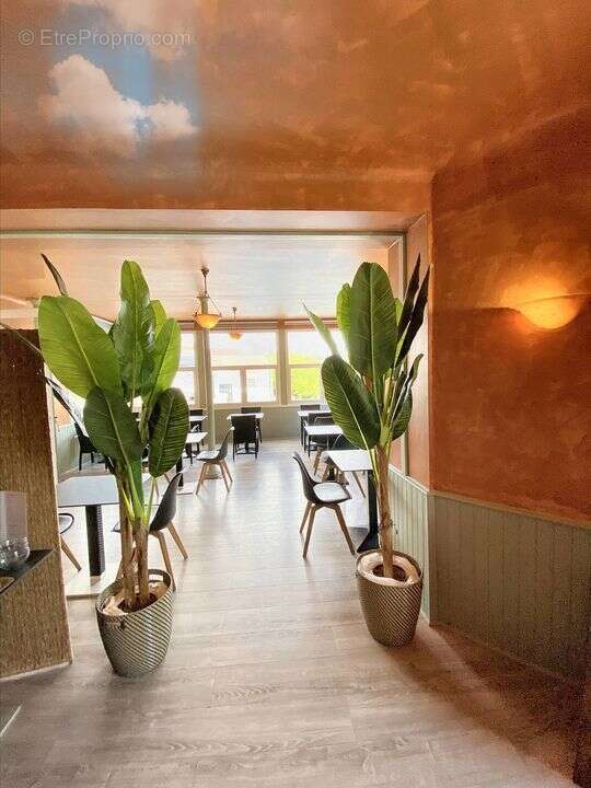 Commerce à CAZAUBON