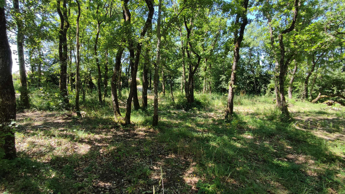 Terrain à MONTAIGU-DE-QUERCY