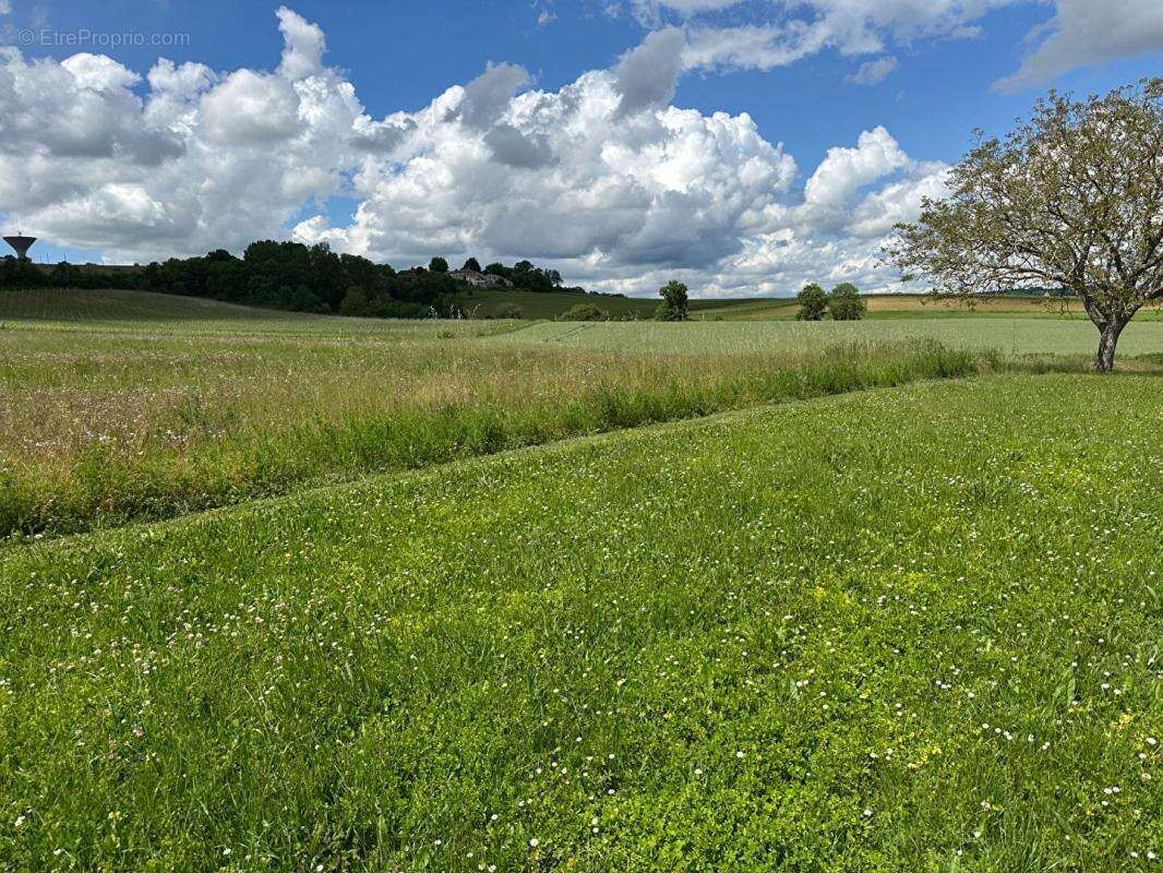 Maison en pierre 8 pièces 242 m2 avec grand terrain - photo 15