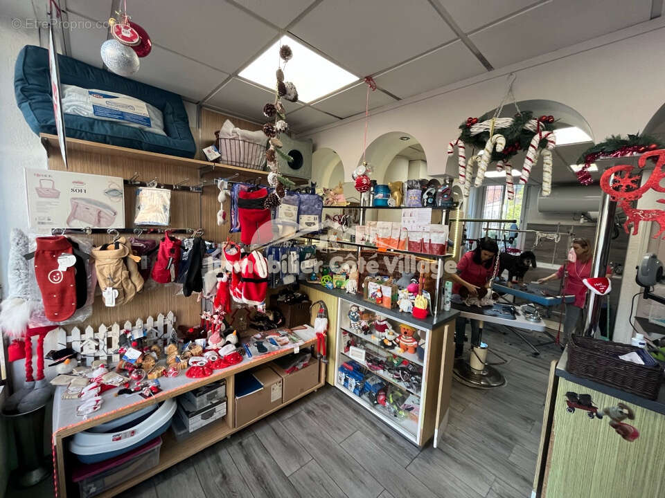 Commerce à LA TRINITE