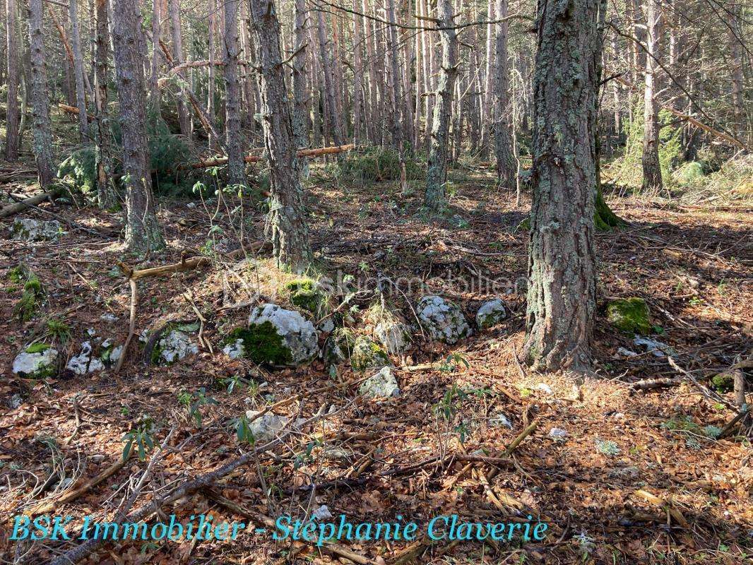 Terrain à LE MAS