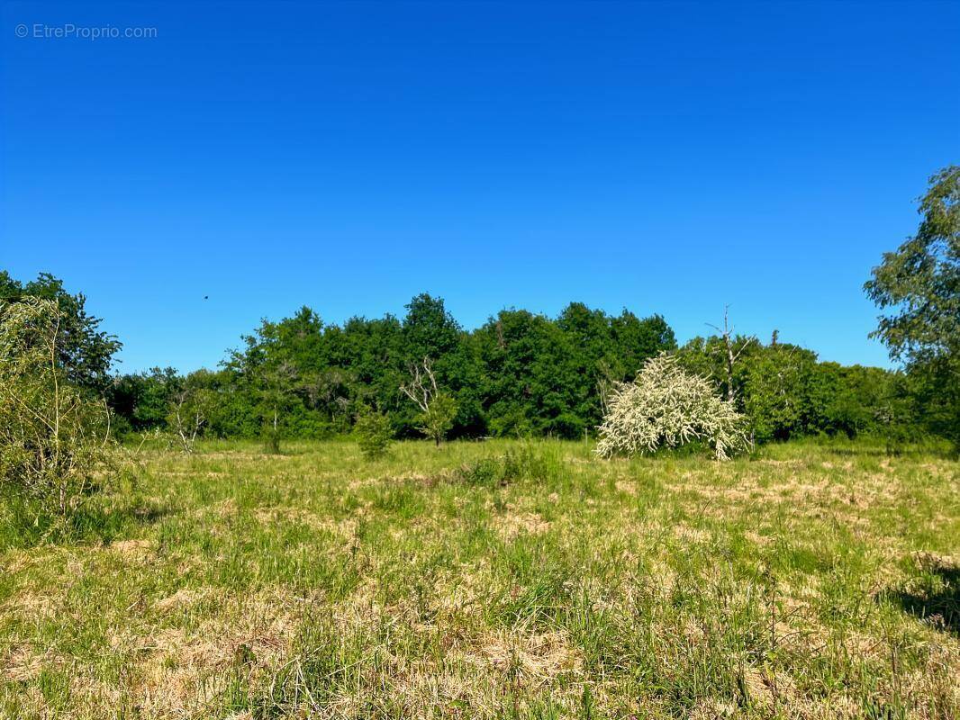 Maison à CHAUMONT-SUR-THARONNE