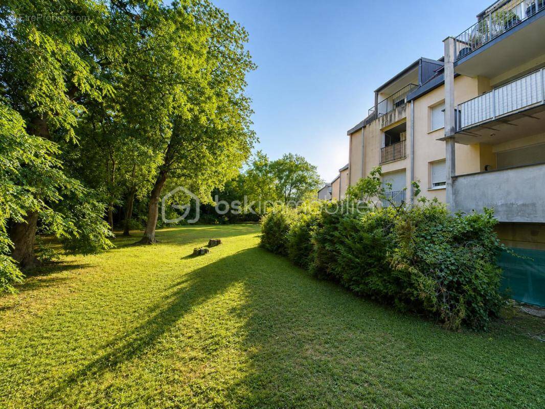Appartement à ISSENHEIM