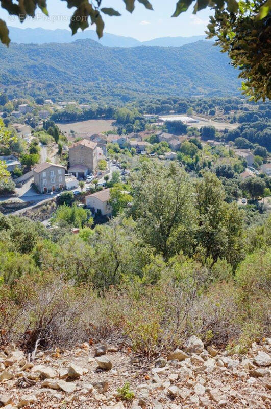 Terrain à SANTA-MARIA-SICHE