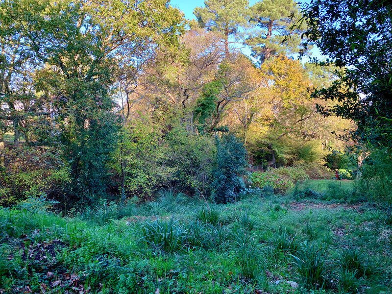 Terrain à ANGLET