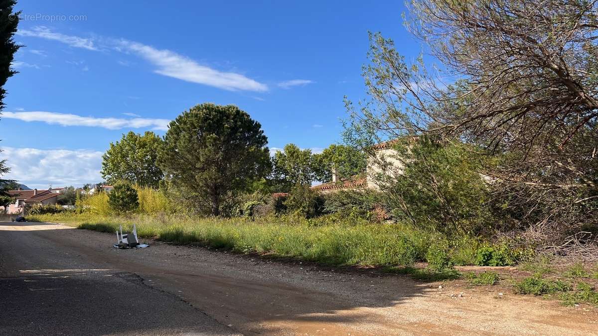 Ensemble Parcellaire de 4.472 m2 (constructible et divisible)  - photo 9