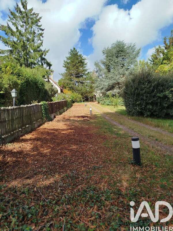 Photo 3 - Terrain à VERRIERES-LE-BUISSON