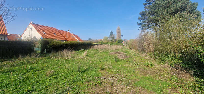 Terrain à WISSANT