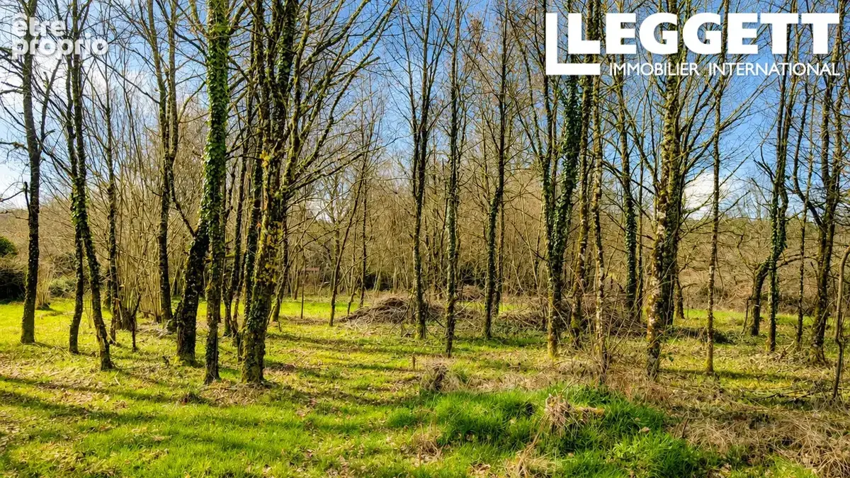 Beau terrain avec une grange en ruine avec CU - photo 6