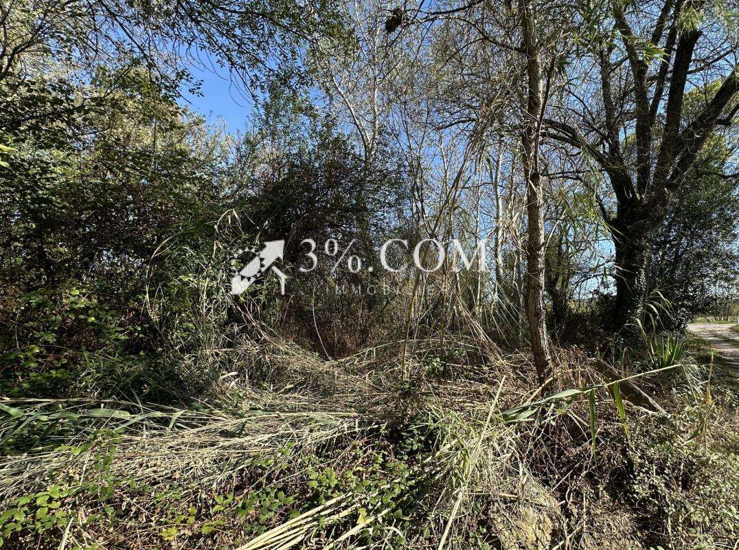 Terrain non constructible - - photo 2