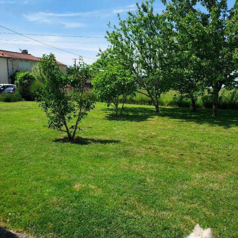 Maison à TONNAY-CHARENTE