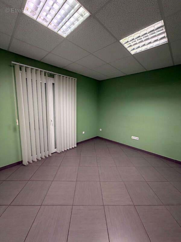 Locaux commerciaux ou professionnels Montceau les M. - photo 13