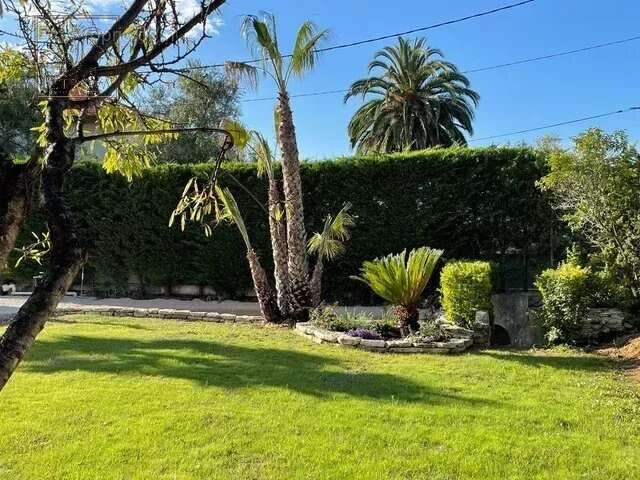 CAGNES-SUR-MER: EXCEPTIONNEL Maison 9 Pièces avec très grand  terrain - photo 2
