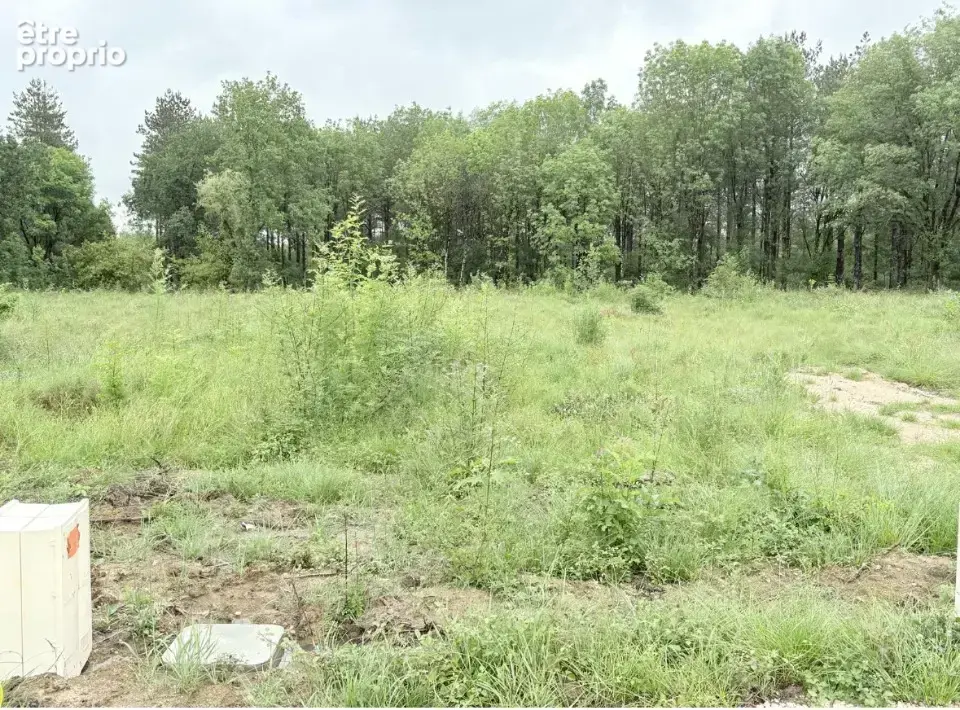Terrain 1150 m² à Villaudric  - photo 2