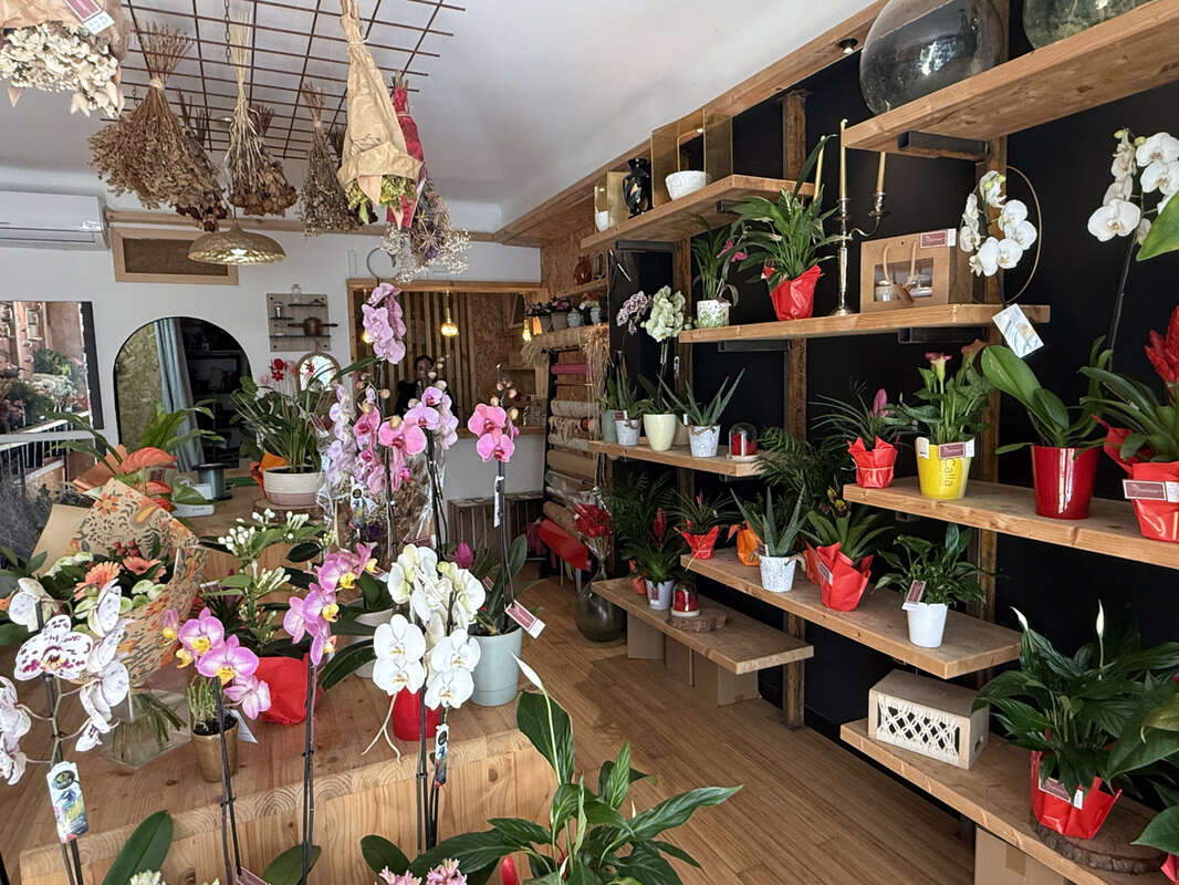 Commerce à GRUISSAN