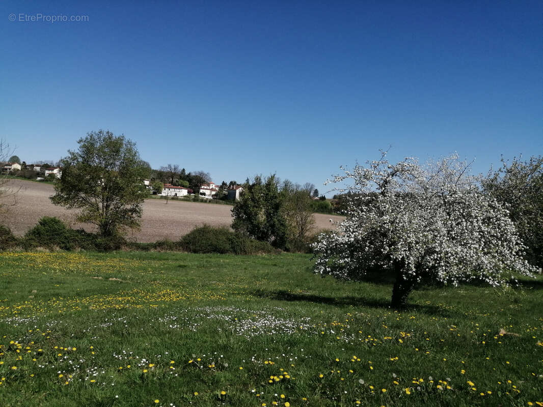 Maison à SAINT-SEVERIN