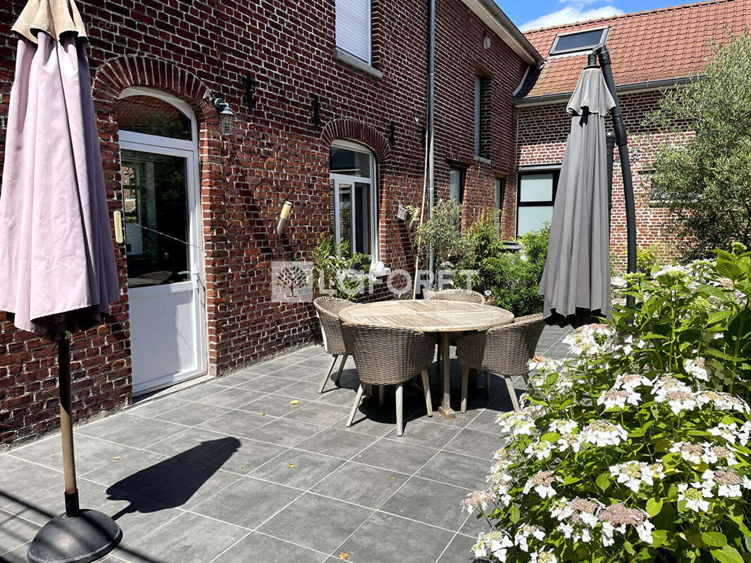 Maison à TEMPLEUVE