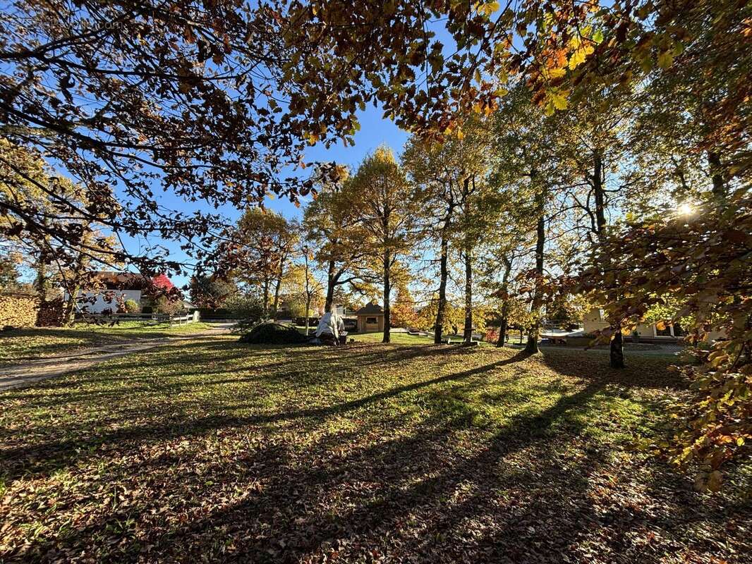 Terrain à CRUSEILLES