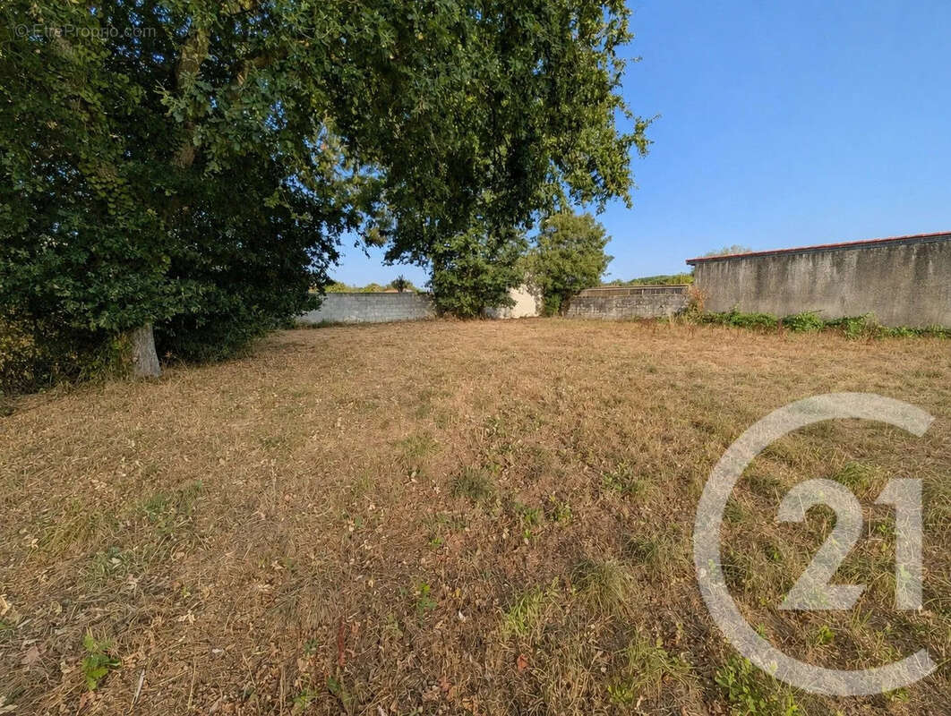 Terrain 753 m² à vendre à Grosbreuil (85440) - photo 2