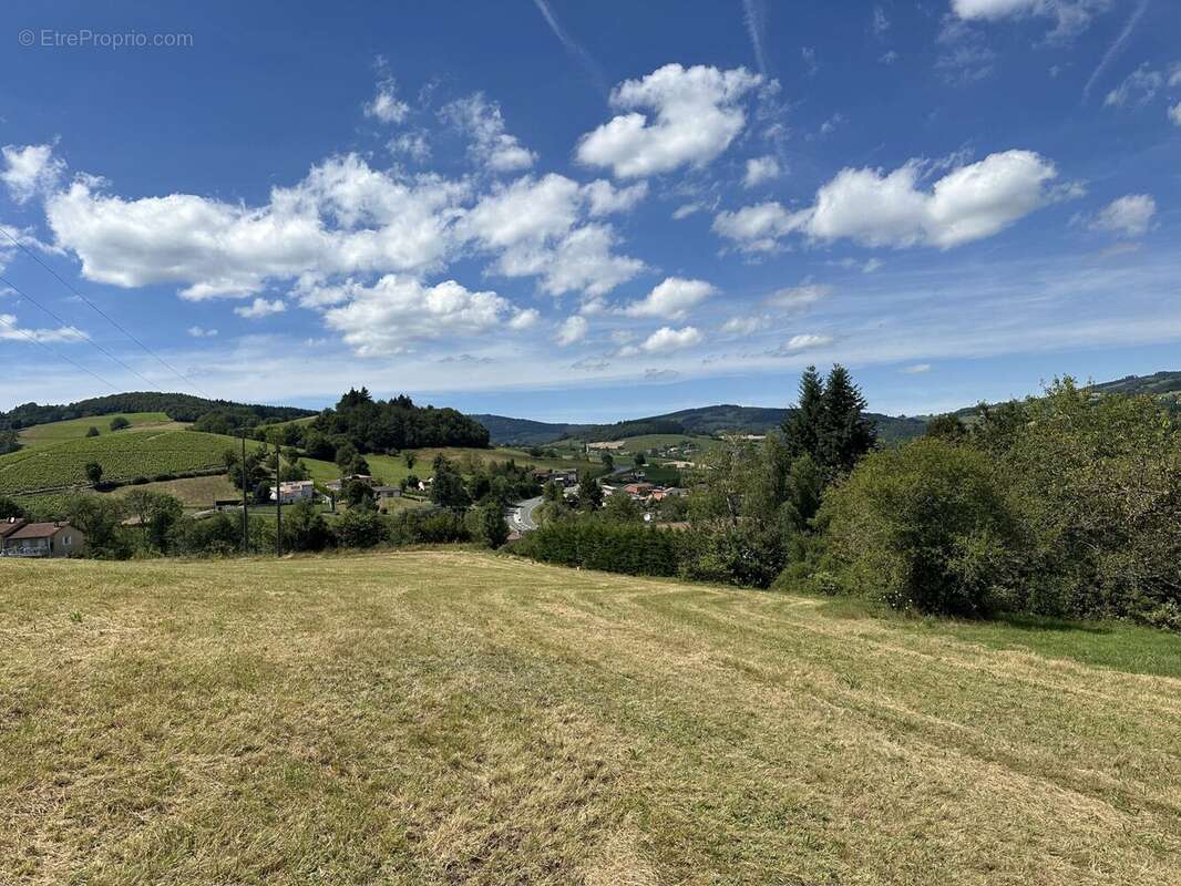 Terrain 1079 m² à Saint-Didier-Sur-Beaujeu  - photo 2