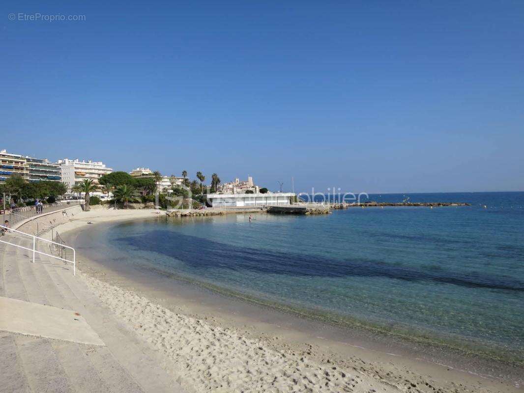 Nouveaute ! juan les pins pinede proche plages ! - photo 13
