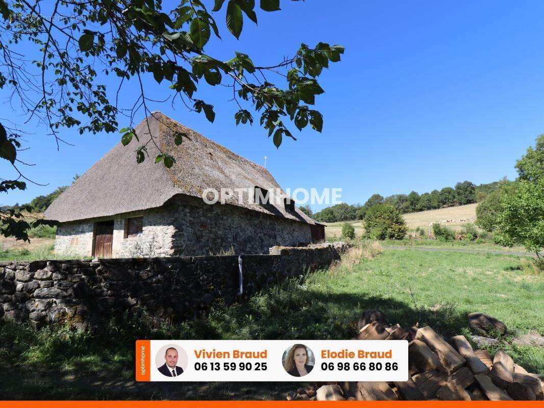 Pierre, chaume, grands volumes et vue sur le Sancy : un projet rare dans le Cantal - photo 20